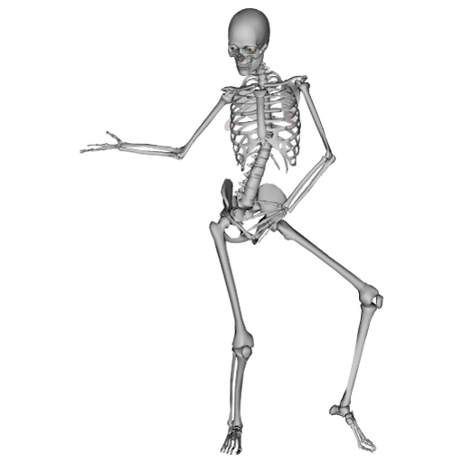 Spooky Hollow Experience Award Skeleton