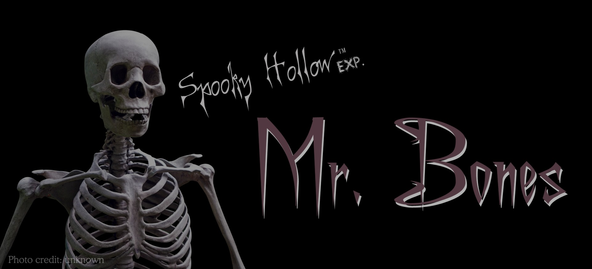 Spooky Hollow Experience Bones