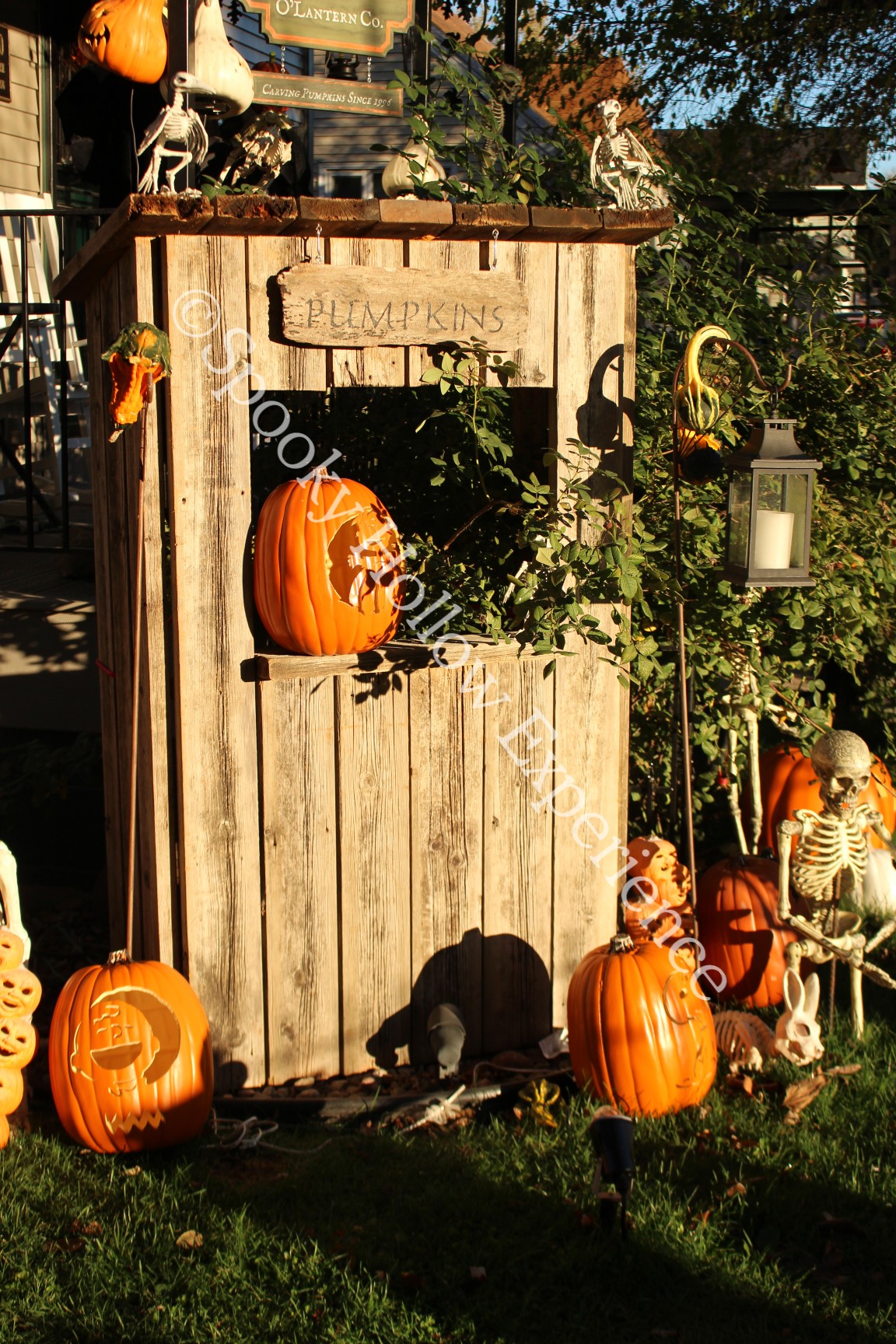 Spooky Hollow Experience Copyright Jack's Pumpkin Patch stand