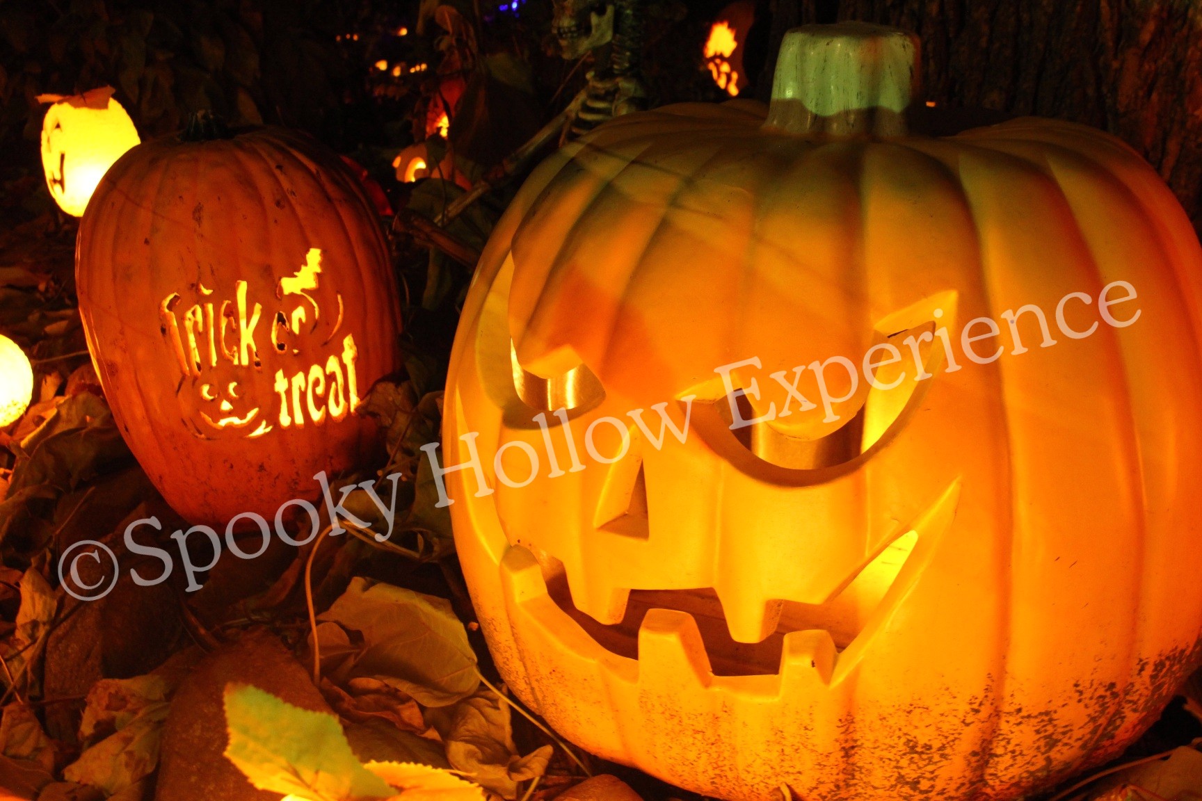 Spooky Hollow Experience Copyright Jack's Pumpkin Patch