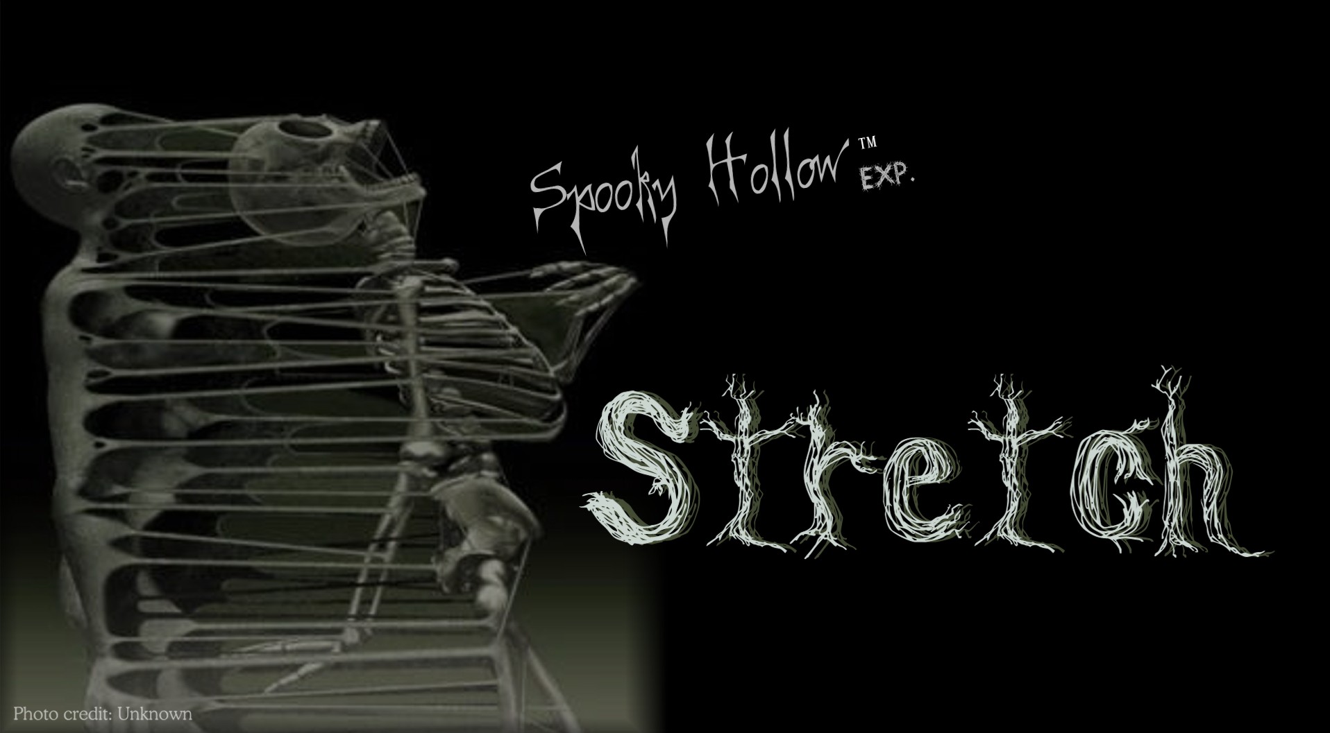 Spooky Hollow Experience Copyright Stretch